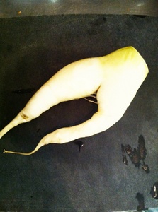 daikon.jpg